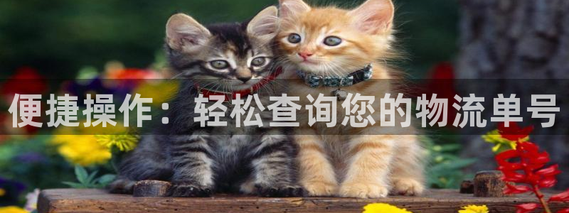 多多28游戏最新版