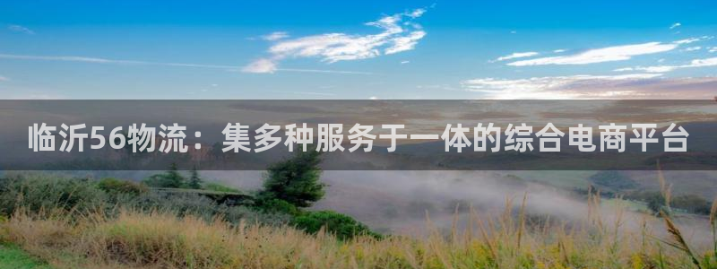 多多28预测：临沂56物流：集多种服