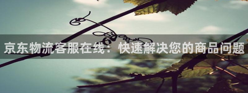 多多28女王中奖记录查询：京东物流客
