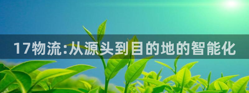 多多28网站怎么注册：17物流:从源