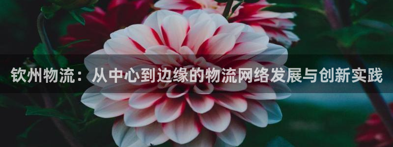 多多28推广链接是多少个