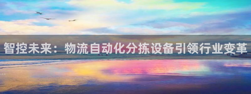 多多28头像：智控未来：物流自动化分