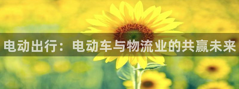 多多28登录:电动出行:电动车与物流