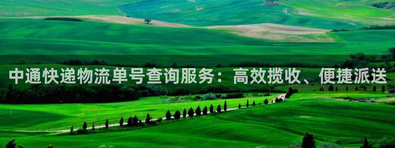多多28官网下载多少钱一个：中通快递