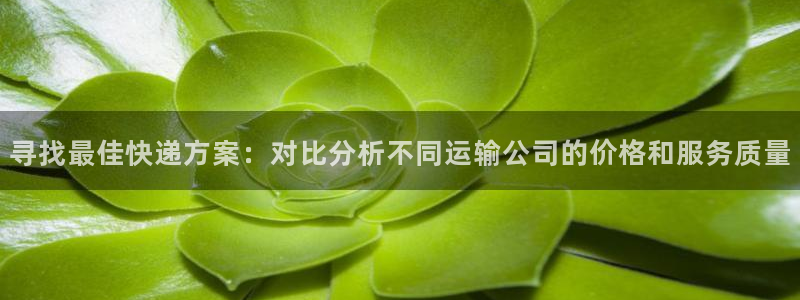 多多28可靠吗：寻找最佳快递方案：对