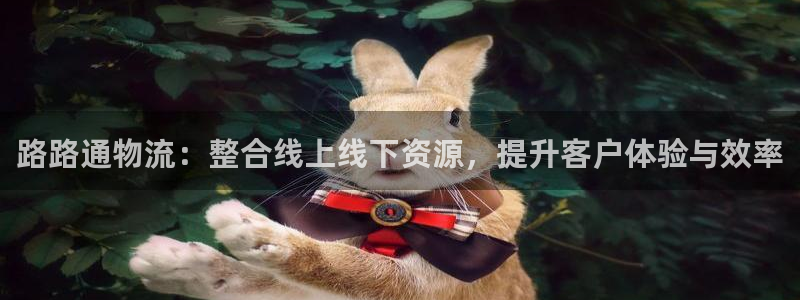 多多28黑平台吗：路路通物流：整合线