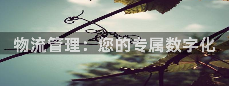 多多28口内径是多大：物流管理：您的专属数字化