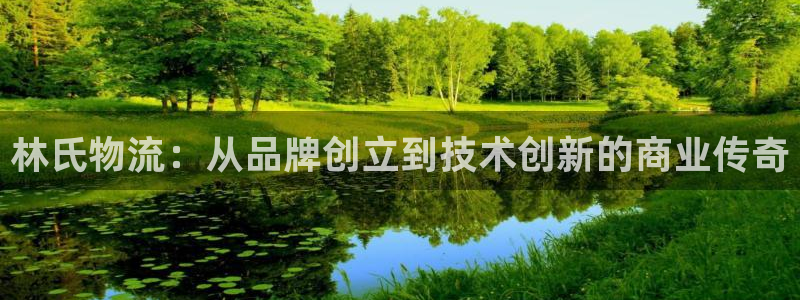 多多28注册流程：林氏物流：从品牌创