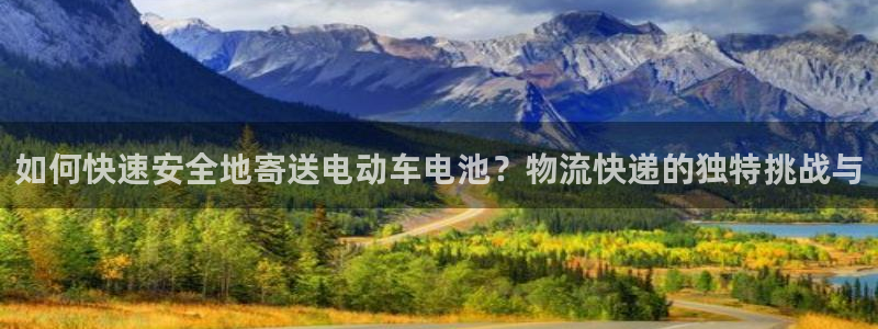 多多28：如何快速安全地寄送电动车电