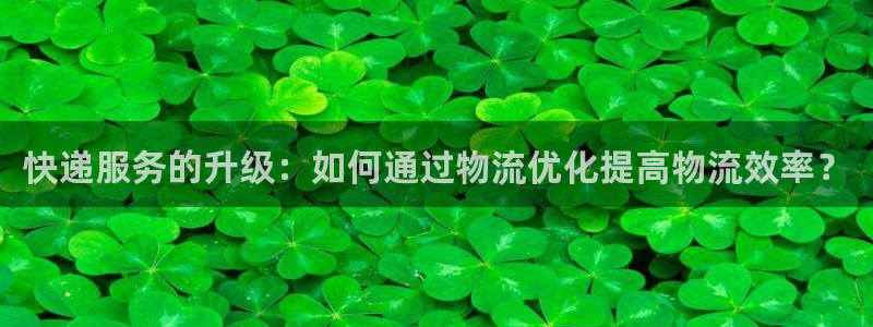 多多28官方版正版：快递服务的升级：如何通过物流优化提高物流