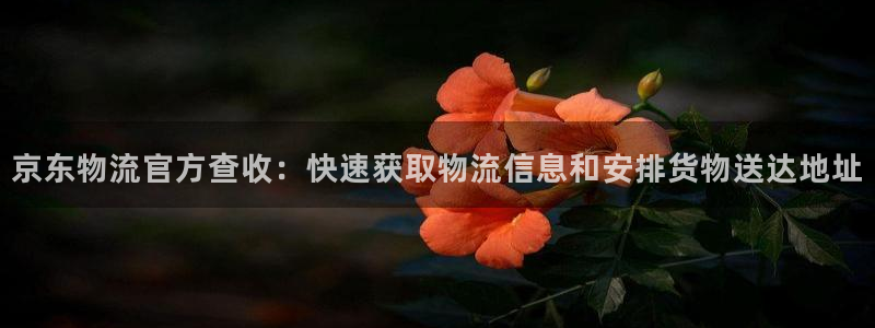 多多28反水：京东物流官方查收：快速