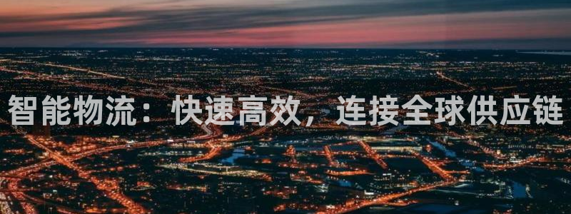 加拿大多多28是什么：智能物流：快速