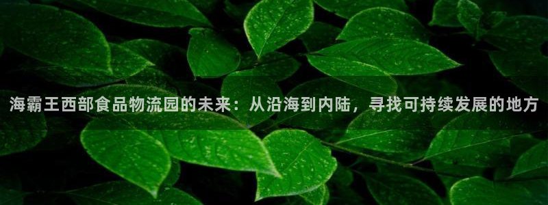 多多28官网入口app：海霸王西部食