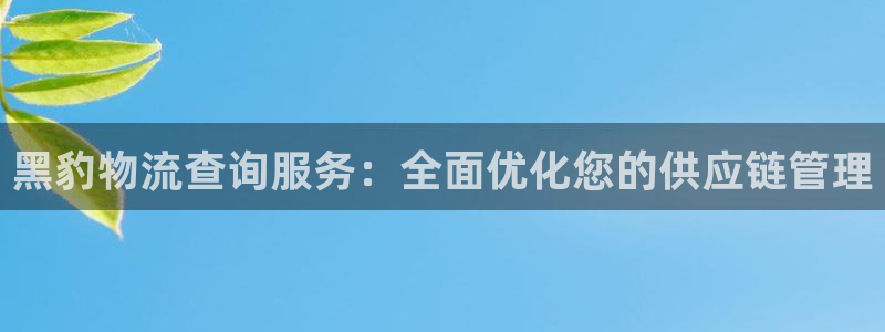多多28取保