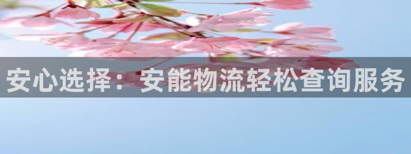 多多28比特28真实吗:安心选择:安