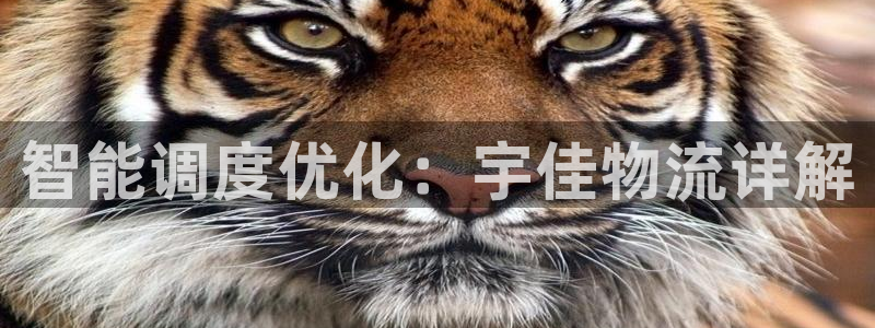 多多28登录不上咋回事:智能调度优化