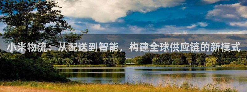 多多28忘记账号：小米物流：从配送到