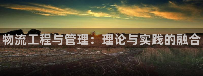 多多28官网链接：物流工程与管理：理